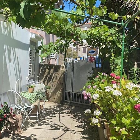 Apartman Annamaria Cres Eksteriør bilde